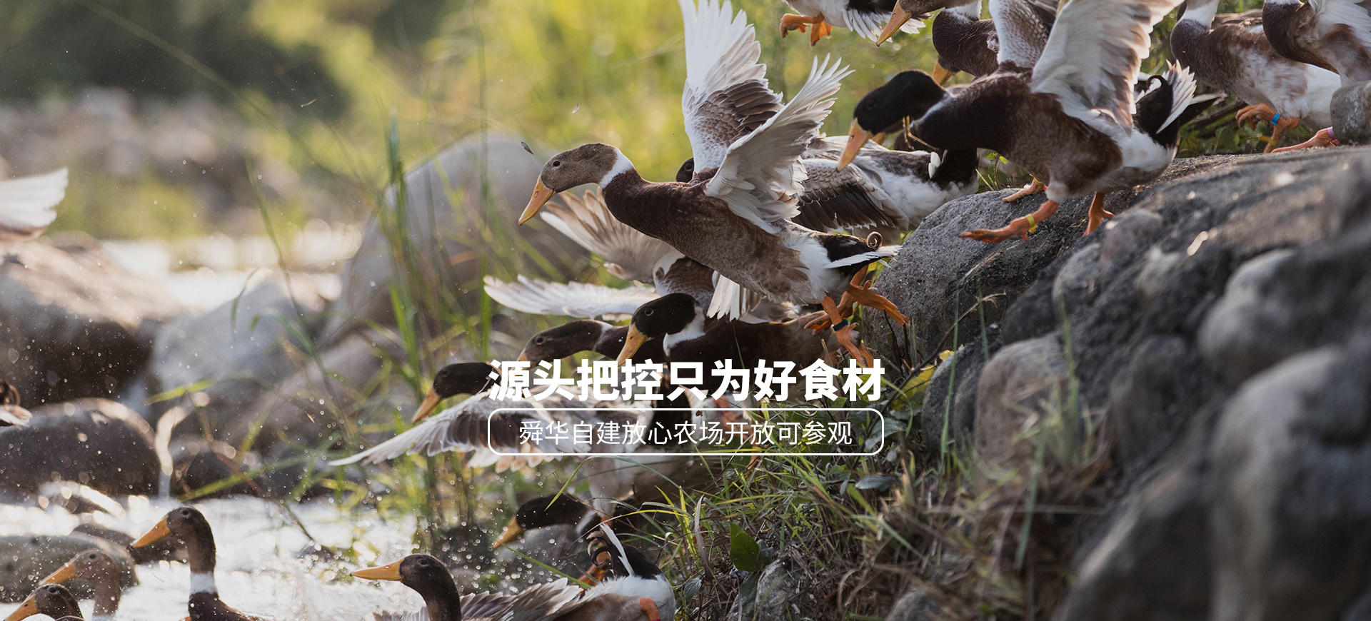 源頭把控只為好食材